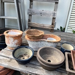 【無料】植木鉢、園芸用品、たくさんありますの画像