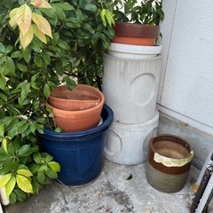 【無料】植木鉢、園芸用品、たくさんありますの画像