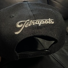 Tetrapotu🧢の画像