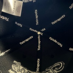 Tetrapotu🧢の画像
