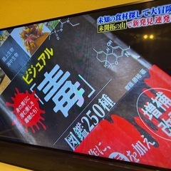 REGZA 55J10 55インチ 液晶テレビ　2K フルHD LEDパネルの画像