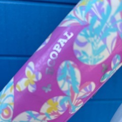 BRIDGETONE  ECOPAL 22インチの画像