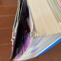 NINTENDO3DS ポケットモンスターXY 完全カロス図鑑完成ガイドの画像