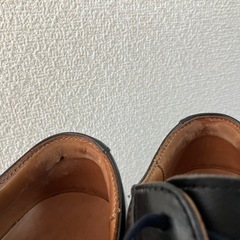 Danner POSTMAN 2 ブラック US8（26cm）D-212100の画像