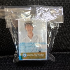 羽生結弦さん　キシリトールホワイト　クリップの画像