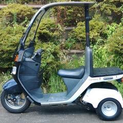 ジャイロキャノピー　Fi　ミニカー仕様　(No.2439)の画像