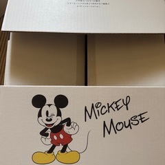 ディズニー　ダンボール