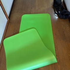ヨガマット ジャンクの画像
