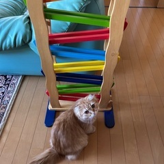 木のおもちゃ3点　コースター&タワースロープ&汽車の画像