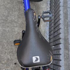 LOUIS GARNEAU　ルイガノ　子ども用自転車　J24の画像