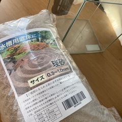 ベタ飼育セットの画像
