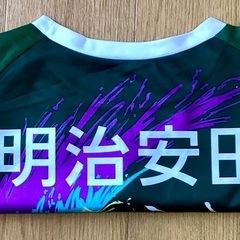 松本山雅FC 10番サッカーコンフィットTシャツの画像