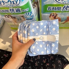 男の子わんちゃん用オムツMサイズ約45枚とSサイズ約40枚の画像