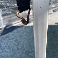 タープの画像