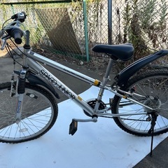 SPAGO JUNIOR山地自転車の画像