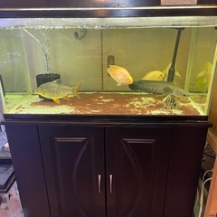 90cm水槽セットの画像