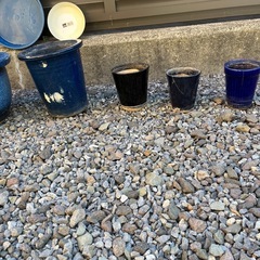 植木鉢、プランタン一式の画像