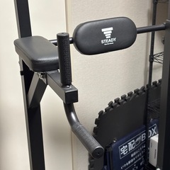 steadyの懸垂機の画像