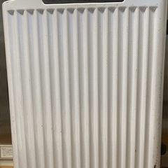 キャリーバッグの画像