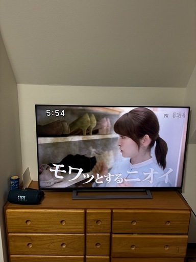 REGZA  50型