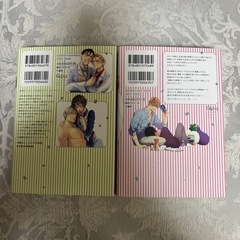 俺達は新婚さんかもしれない  BL漫画  １巻～2巻の画像