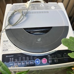 🉐本日限定 洗濯機の画像