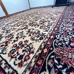 【値下げ可】絨毯 230×325の画像