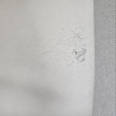 　犬　階段　ステップ　ドッグの画像