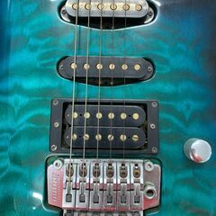 フェルナンデス　エレキギターの画像