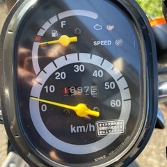 【8月9日まで】原付50ccホンダトゥデイの画像