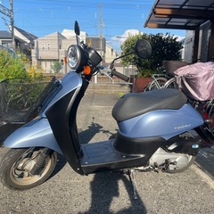 【8月9日まで】原付50ccホンダトゥデイの画像
