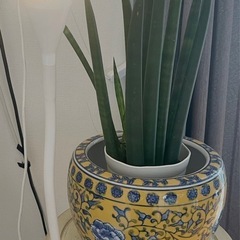 クリップ式間接照明の画像