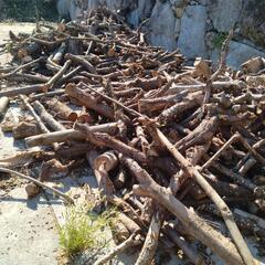 薪代無料です。の画像