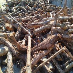 薪代無料です。