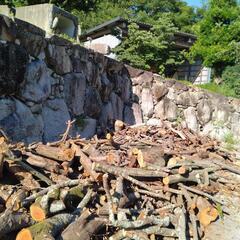 薪代無料です。の画像