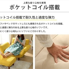 ローソファとオットマンのセット新品未使用日本製
の画像