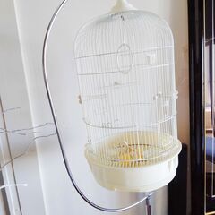 美品💗HOEI 鳥かごの画像