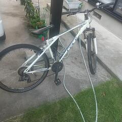 マウンテンバイクの画像