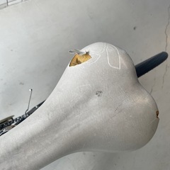 ジャイアントLiv自転車の画像