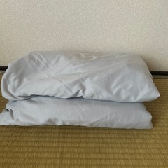 【お譲り先決まりました】シングル　掛け布団カバー　2枚　ニトリの画像