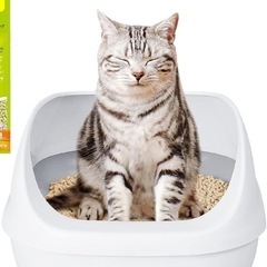 猫 トイレ 本体 
デオトイレ 