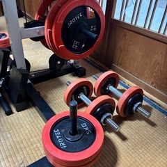 【急募】ホームジム一式！IROTECマシン＋140kgバーベル｜EZバー・革ベルト付｜〜25km無料配送◎ 【定価15〜16万円】の画像