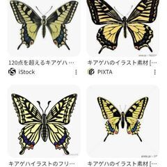 あげます　キアゲハ幼虫　虫の写真あり閲覧注意　0円無料生き餌の画像