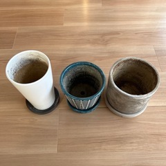 【3つセット】鉢植えの画像