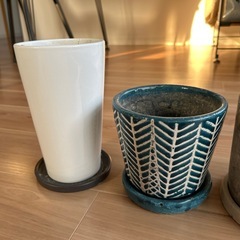 【3つセット】鉢植えの画像