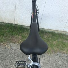 LOUIS GARNEAU LGS RSR 700Cクロスバイク16段変速の画像