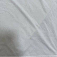 THE NORTH FACEのTシャツの画像