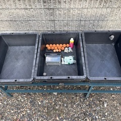 メダカ飼育容器　その他の画像