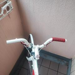 DEROSA の画像
