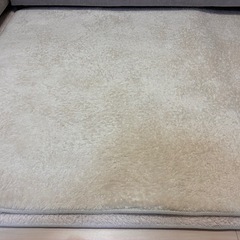 西川 極厚フランネルラグ 2点セットの画像